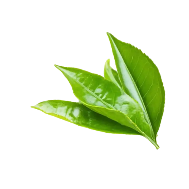 Leaf Decoration