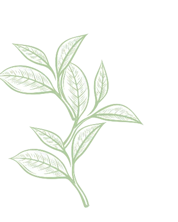 Decorative tea leaf
